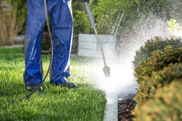 Curb Cleaning in Franklin