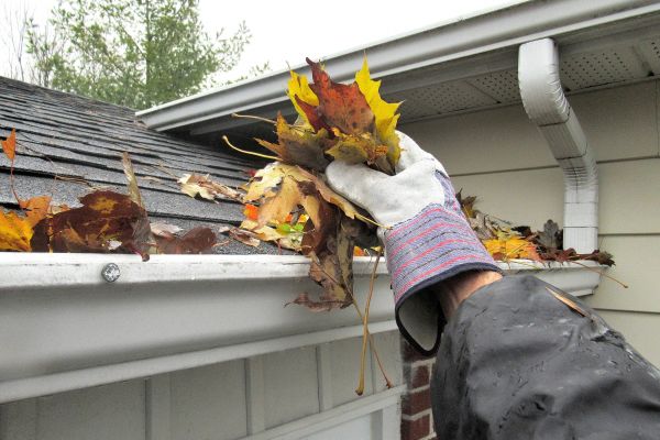 Eaves Cleaning in Franklin
